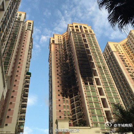 ���ڻ��(z��i)��Ĉ���