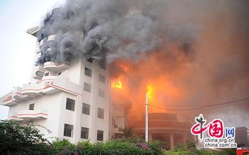 �Ƶ�����