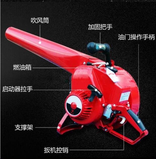 �L(f��ng)�����C