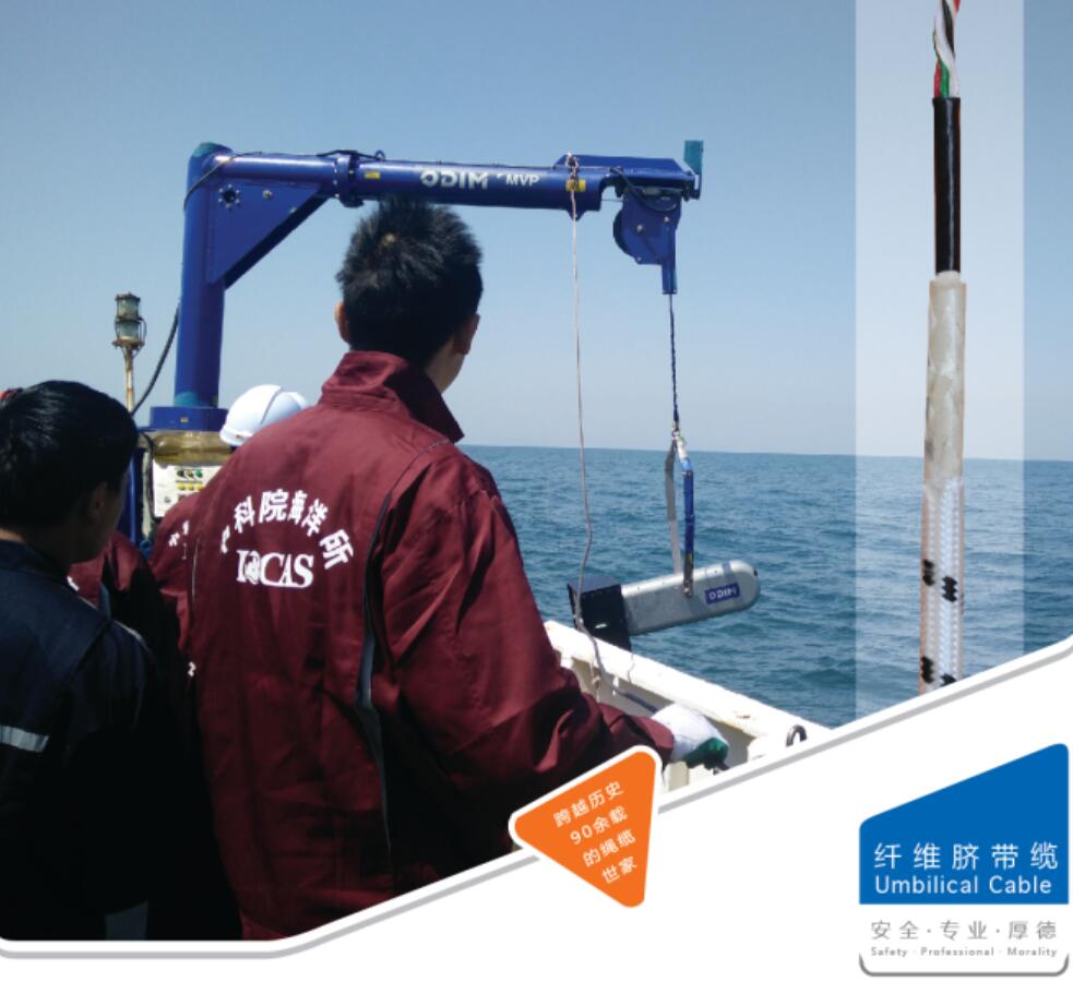 �����|�K�ķN�ã�