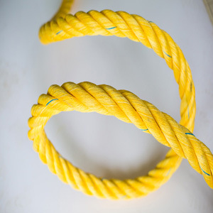 �O�I(y��)�����^�K