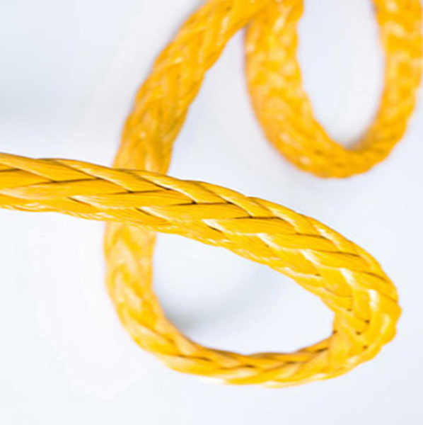 ������̽�|�K