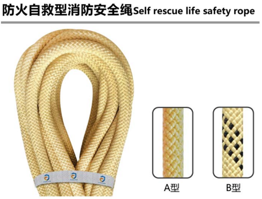 8�����Ծ�������ȫ�K