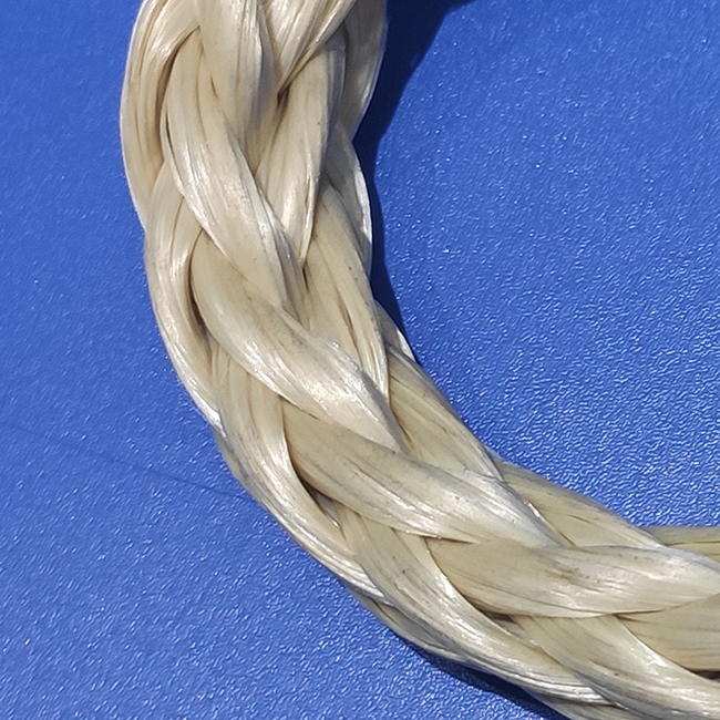 �ɘ�(l��)��vectran�w�S�K